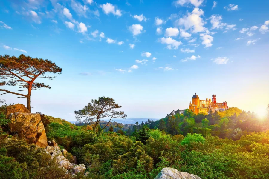 Natural Sintra Park/Cascais Tour